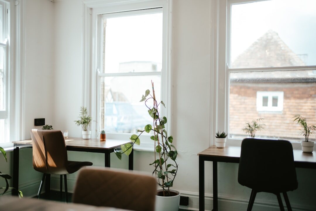 Bright modern coworking office space with plants and natural light